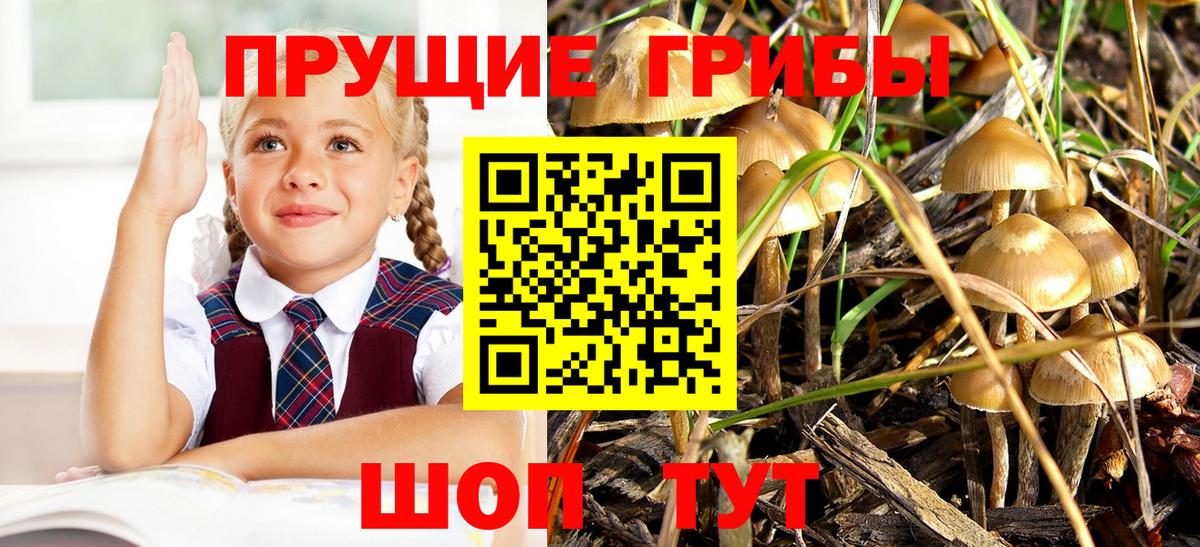 Галлюциногенные грибы мухоморы Борисоглебск