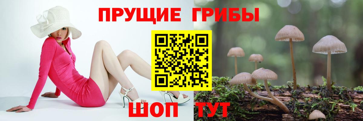 Галлюциногенные грибы мухоморы  Вход с VPN  где можно купить   Борисоглебск 